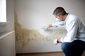 Best Mold Removal for HVAC Installations in Dennis Port, MA